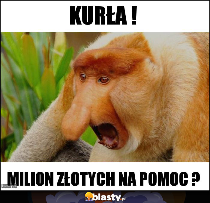 Kurła !