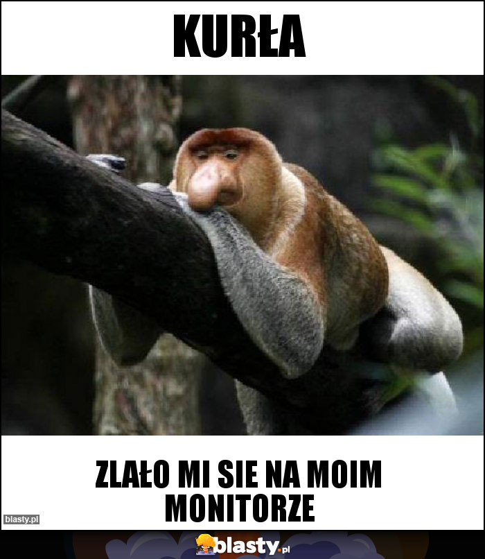 Kurła