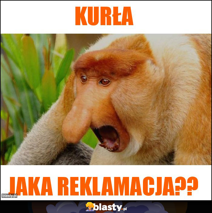 Kurła