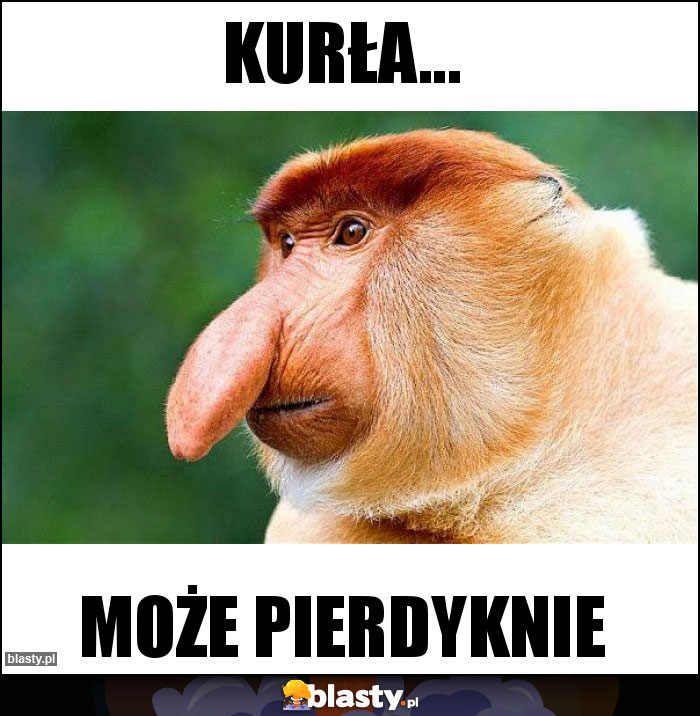 KURŁA...