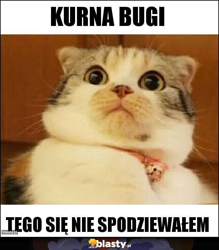 Kurna bugi