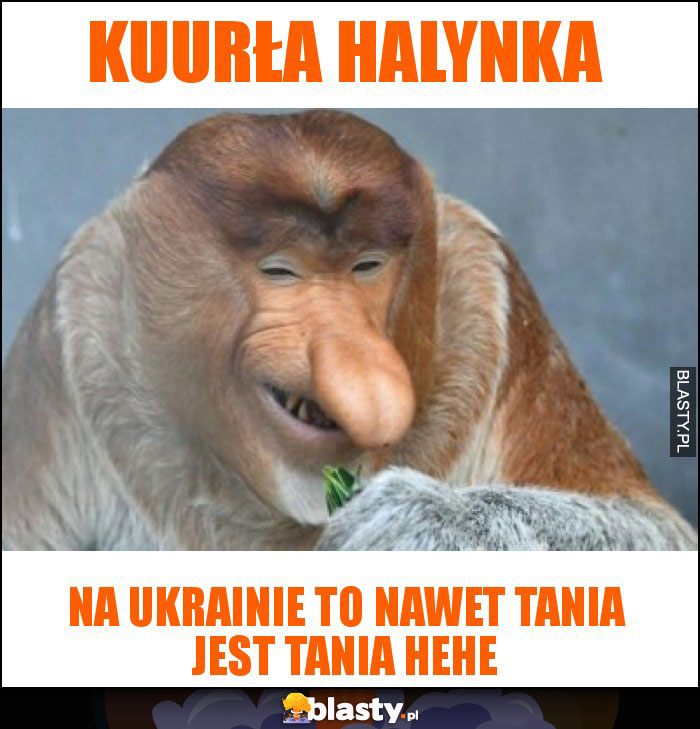 kuurła halynka