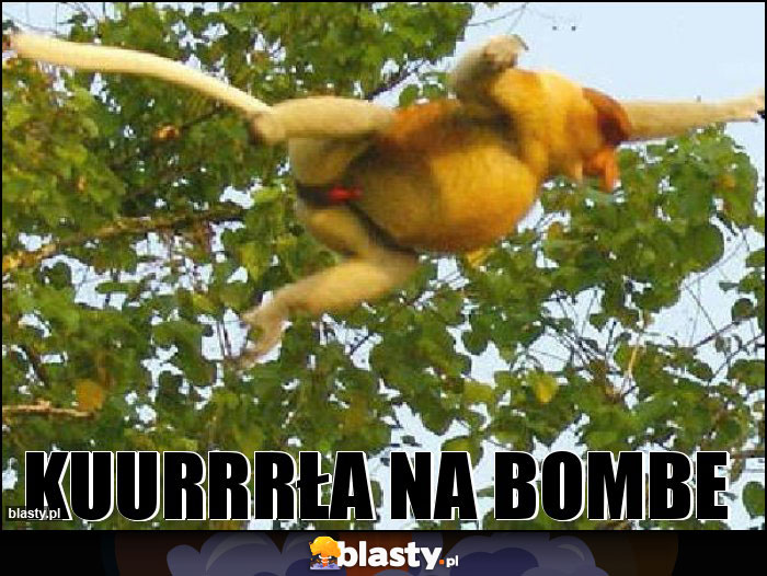 Kuurrrła na BOMBE