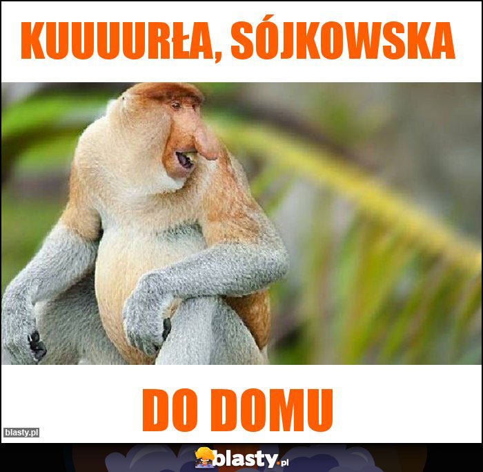 Kuuuurła, sójkowska