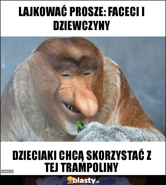lajkować prosze: faceci i dziewczyny