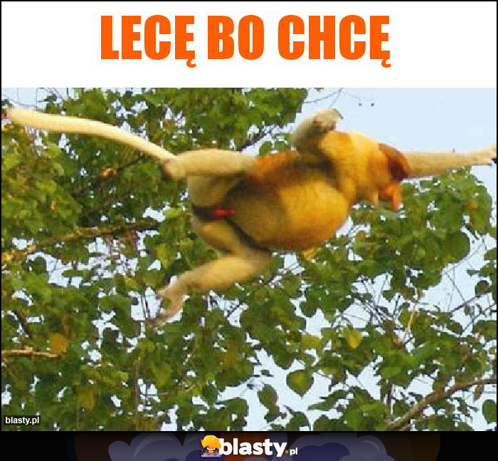 Lecę Bo Chcę