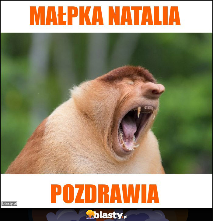 małpka natalia