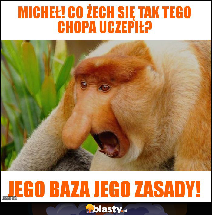 Micheł! Co żech się tak tego chopa uczepił?