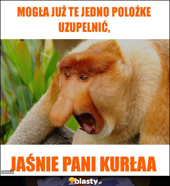 MOGŁA JUŻ TE JEDNO POLOŻKE UZUPELNIĆ,