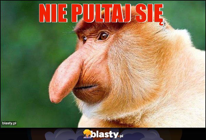 NIE PULTAJ SIĘ