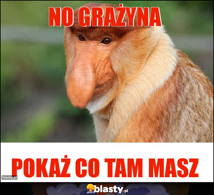NO GRAŻYNA