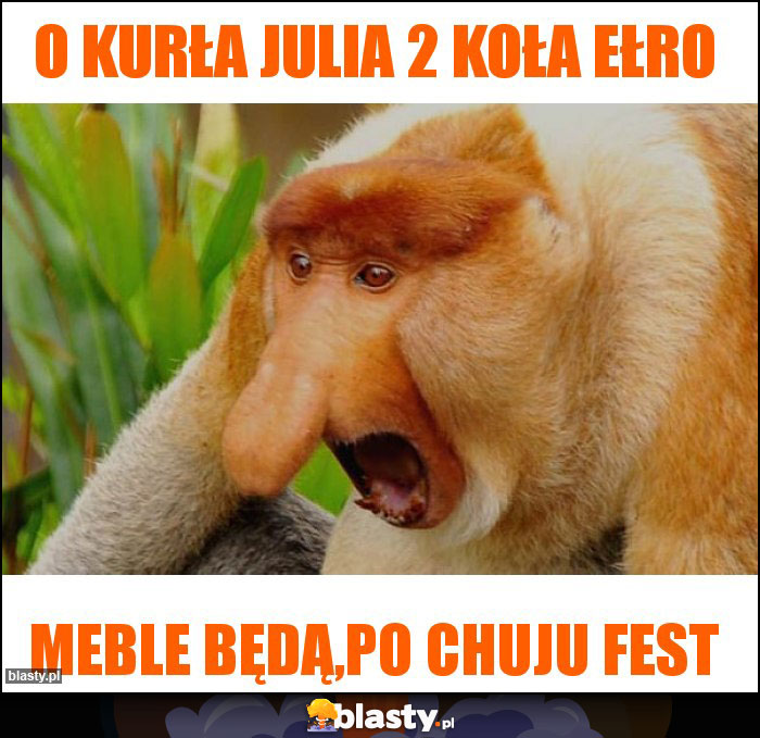 O kurła Julia 2 koła ełro