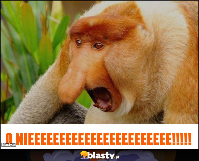 o nieeeeeeeeeeeeeeeeeeeeeee!!!!!