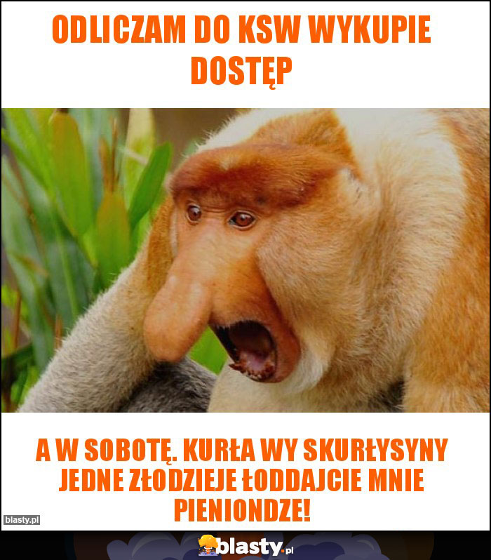 Odliczam do ksw wykupie dostęp