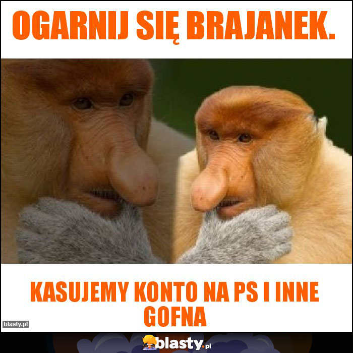 Ogarnij się Brajanek.