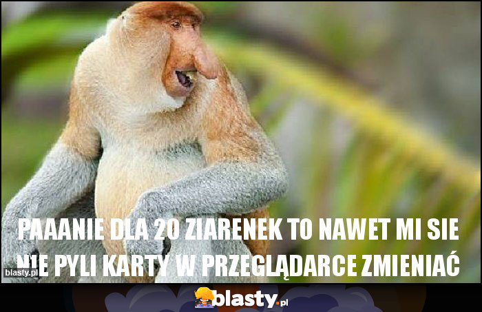Paaanie Dla 20 ziarenek to nawet mi sie nie pyli karty w przeglądarce zmieniać