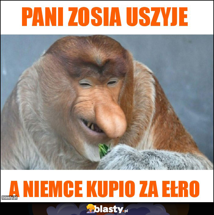 Pani zosia uszyje