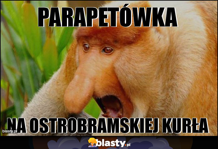 PARAPETÓWKA