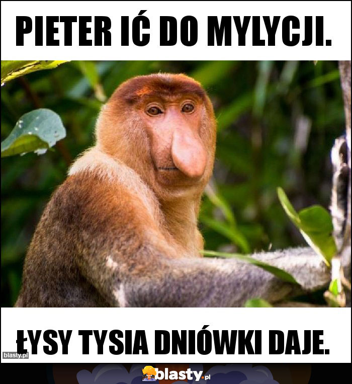 Pieter ić do mylycji.