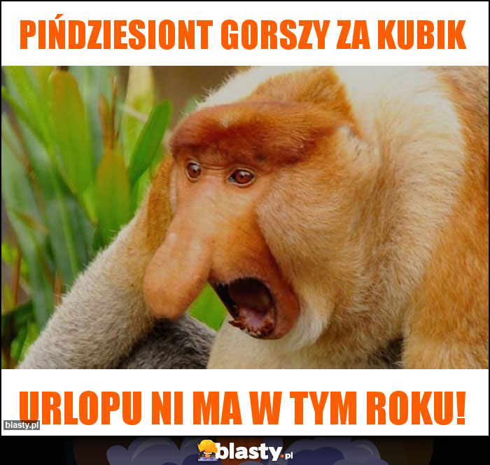 pińdziesiont gorszy za kubik