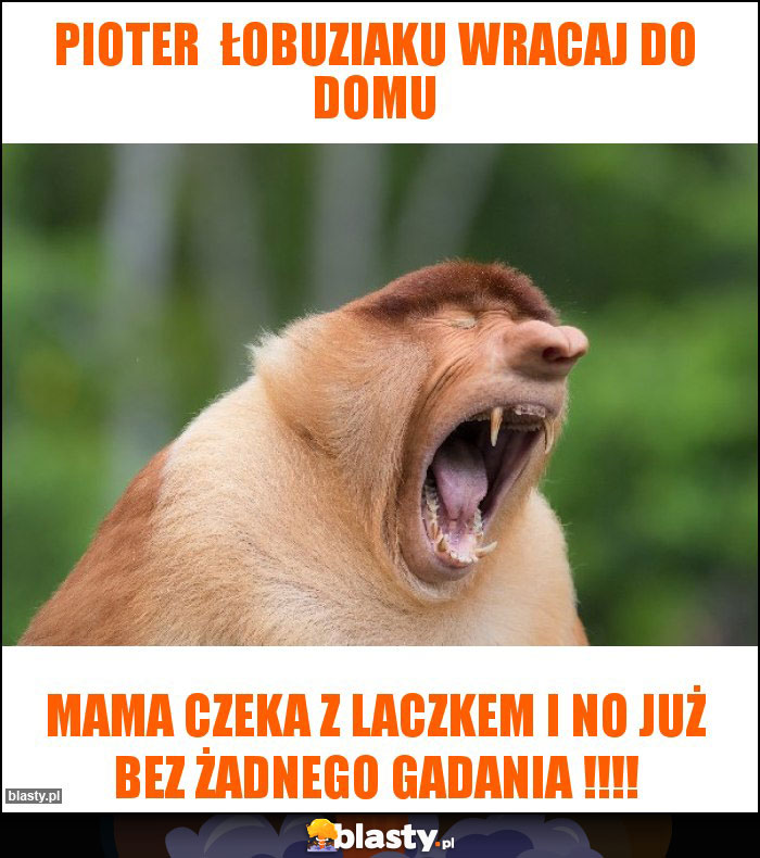 Pioter  łobuziaku wracaj do domu