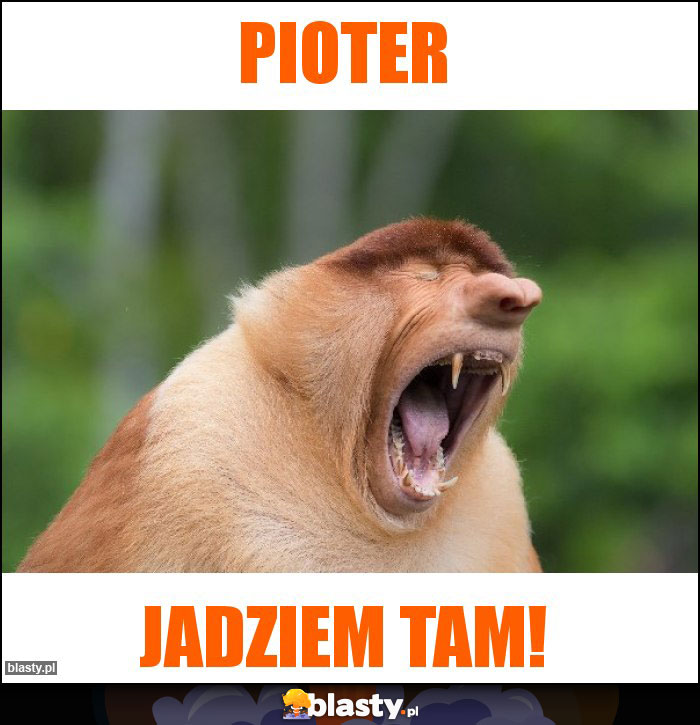 Pioter