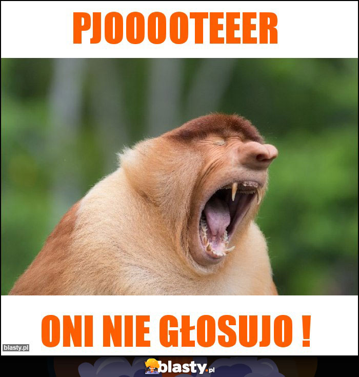 PJOOOOTEEER