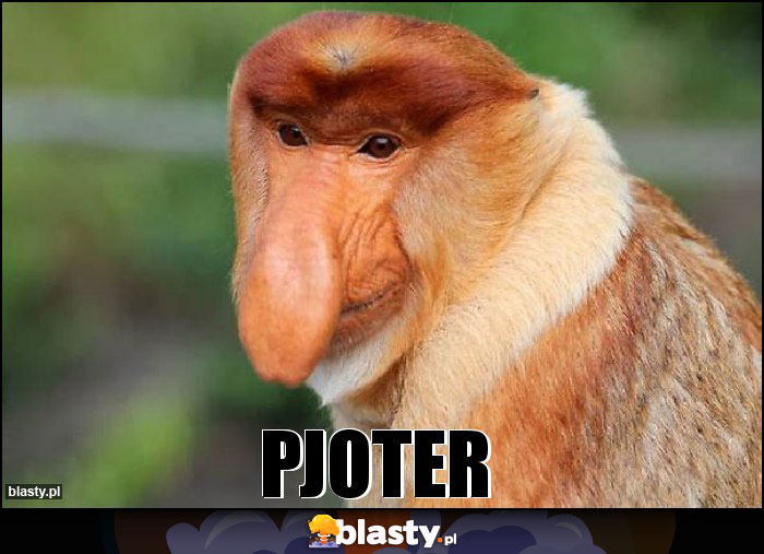 PJOTER