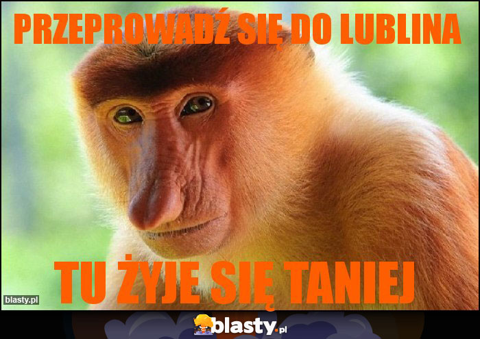 Przeprowadź się do Lublina