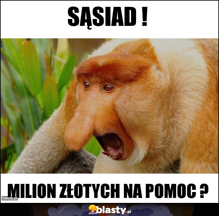 sąsiad !