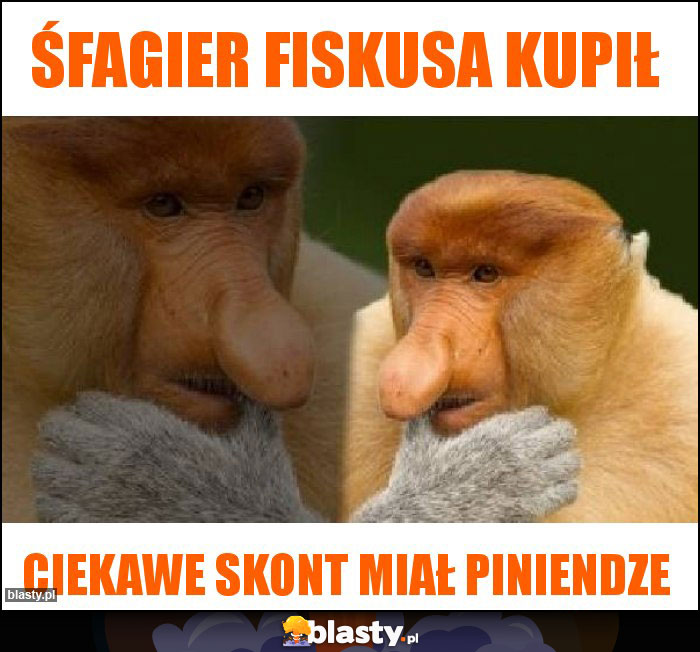 Śfagier fiskusa kupił