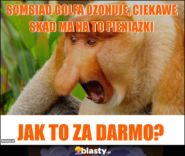 Somsiad golfa ozonuje, ciekawe skąd ma na to pieniążki