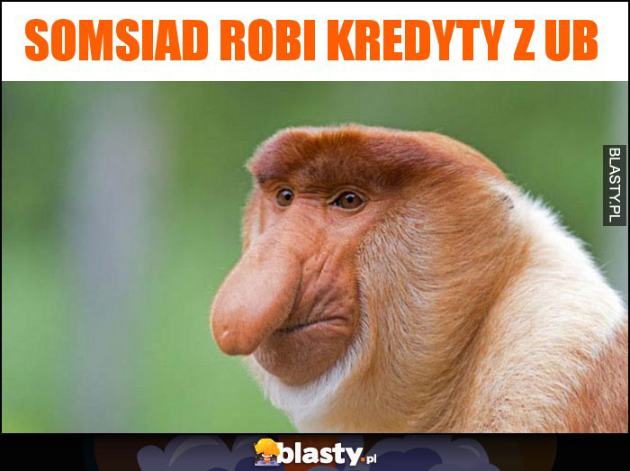 SOMSIAD ROBI KREDYTY Z UB