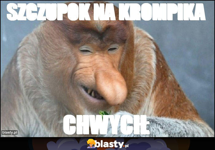 Szczupok na krompika