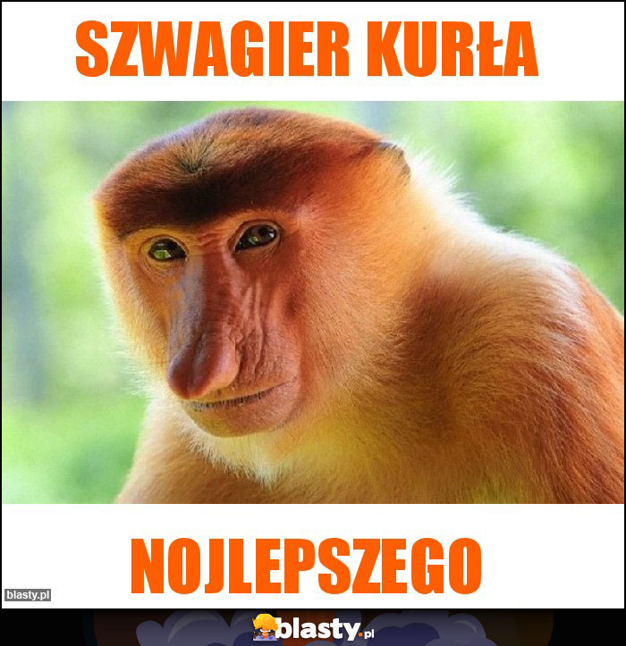 Szwagier kurła