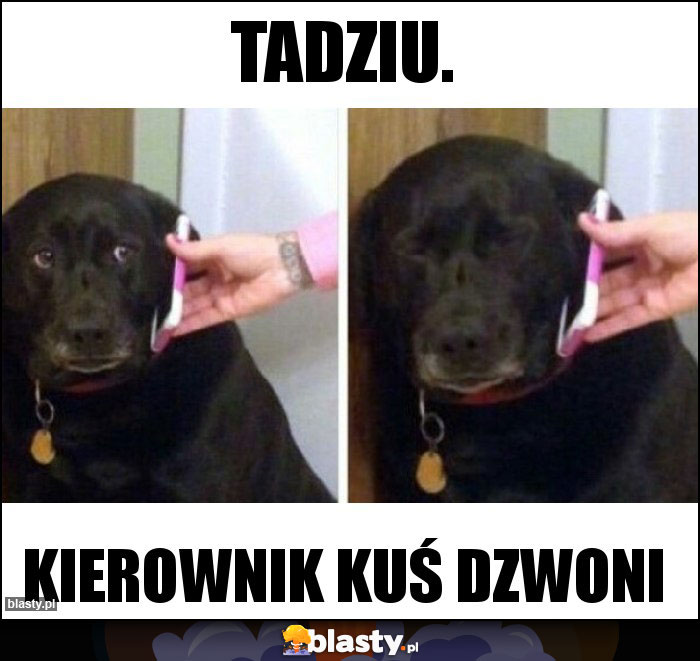 Tadziu.