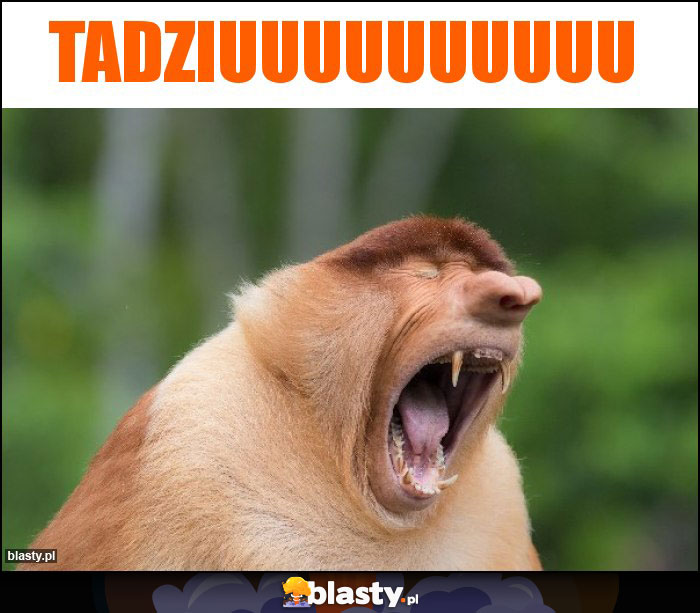 Tadziuuuuuuuuuu