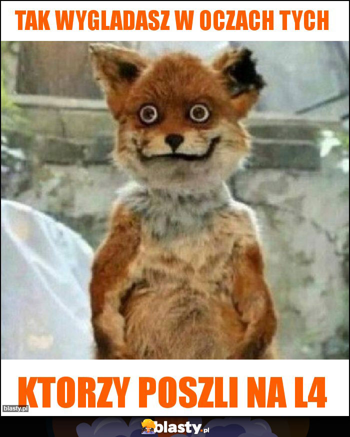 Tak wygladasz w oczach tych