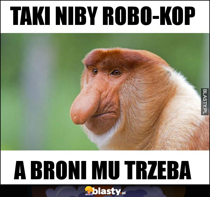 Taki niby Robo-Kop