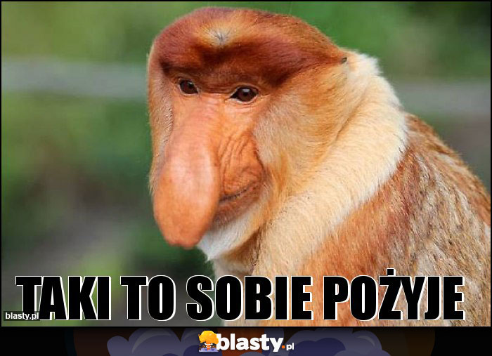 Taki to sobie pożyje