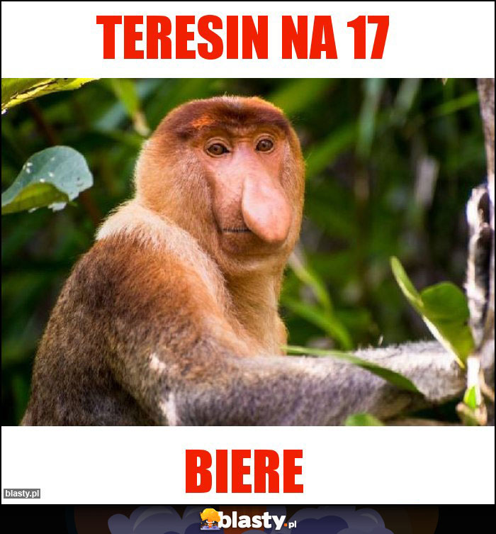 Teresin na 17