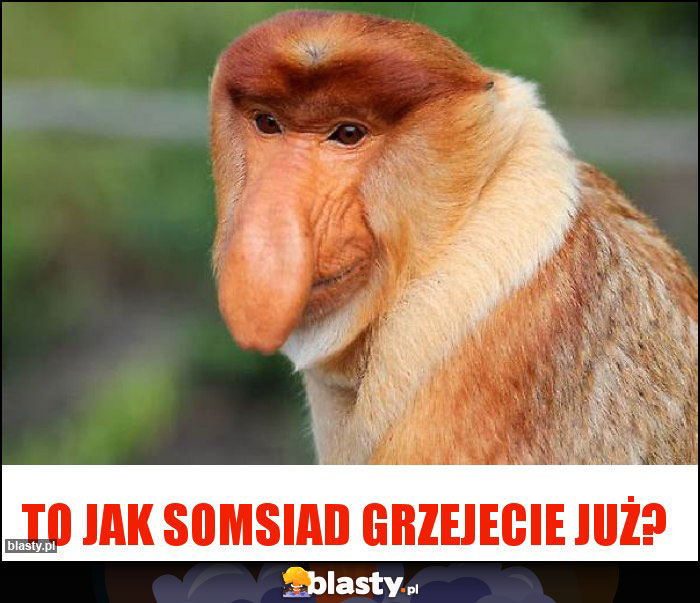 To jak somsiad grzejecie już?