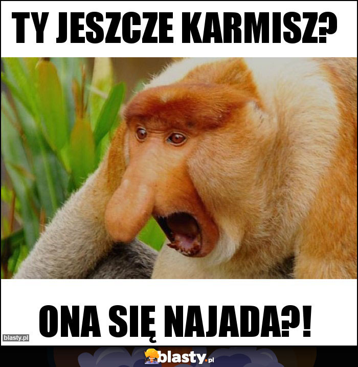 Ty jeszcze karmisz?
