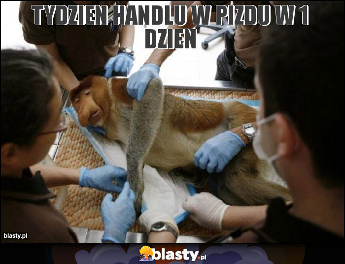 Tydzien handlu w pizdu w 1 dzien