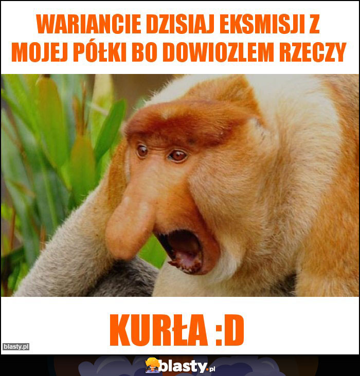 Wariancie dzisiaj eksmisji z mojej półki bo dowiozlem rzeczy