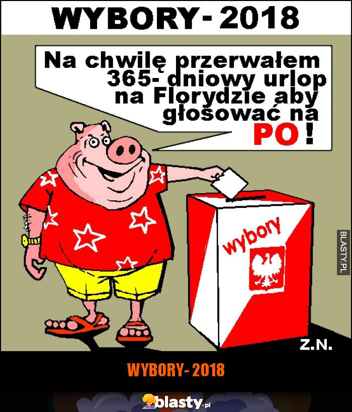 WYBORY- 2018