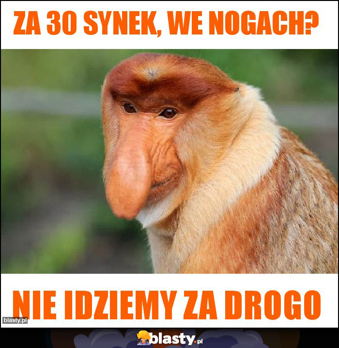 Za 30 synek, we nogach?