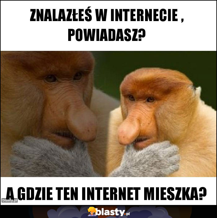 Znalazłeś w internecie , powiadasz?