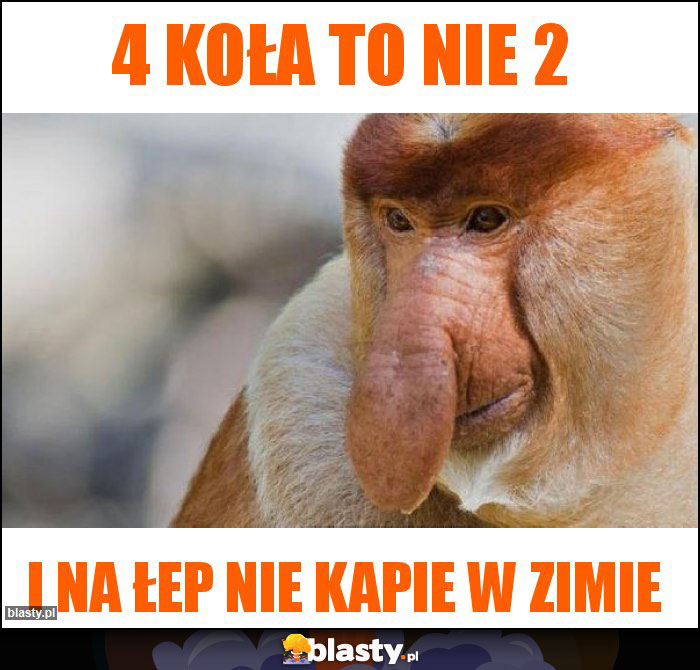 4 koła to nie 2