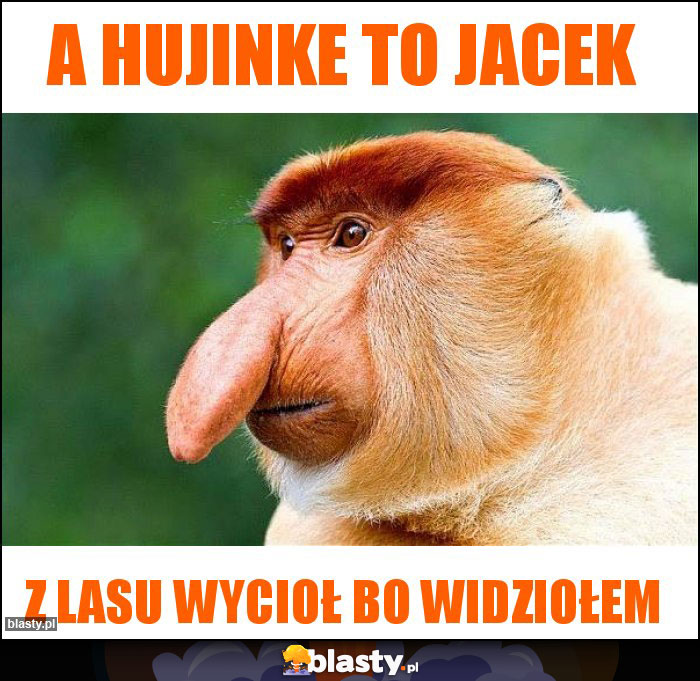 A Hujinke to Jacek